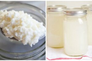 Kefir con acqua di cocco, ecco come si prepara