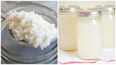 Kefir con acqua di cocco, ecco come si prepara