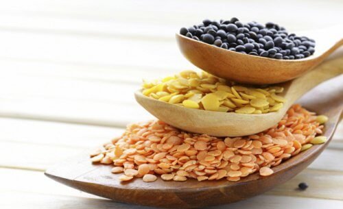 Semi e cereali