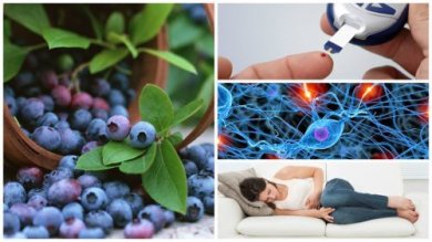 Mirtilli neri: 8 incredibili benefici che non conoscevate