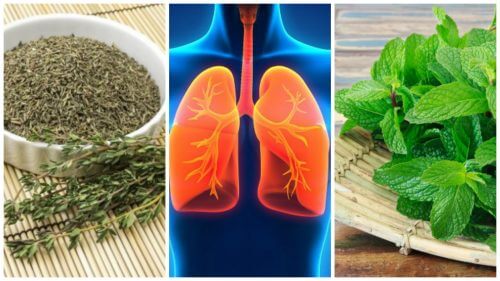 8 erbe per migliorare la salute dei polmoni