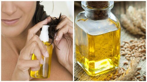 Olio di germe di grano: 6 benefici per i capelli