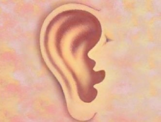 Le orecchie rivelano il nostro stato di salute