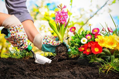 Donna che fa giardinaggio