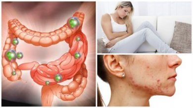 Batteri intestinali responsabili di 6 problemi