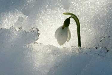 Sisu, strategia finlandese per affrontare i momenti difficili