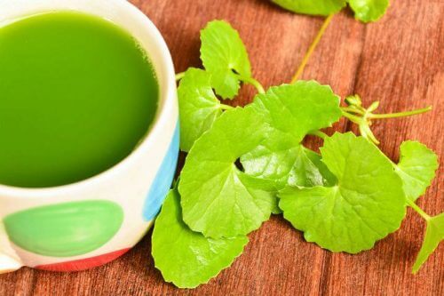 Infuso verde