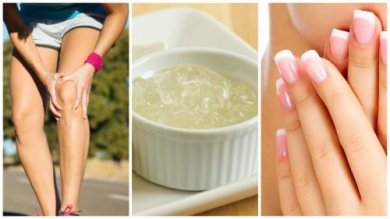 Gelatina neutra: scoprite le 11 proprietà essenziali