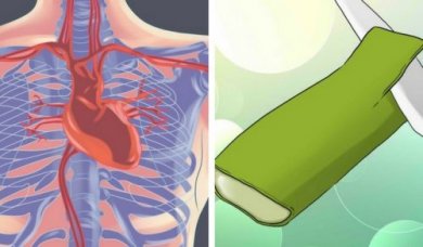 5 motivi per cui l'aloe vera fa bene al cuore