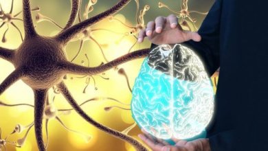 Nervo vago: come "svegliarlo" per un benessere integrale