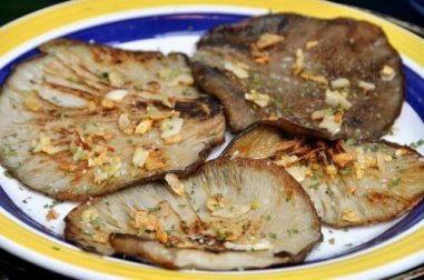 Rafforzare il sistema immunitario con il fungo ostrica