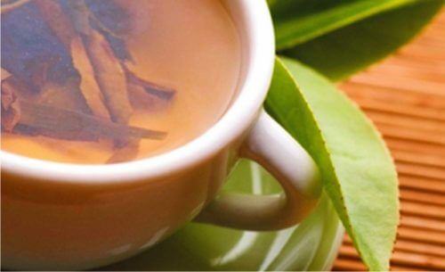 Infuso di salice bianco