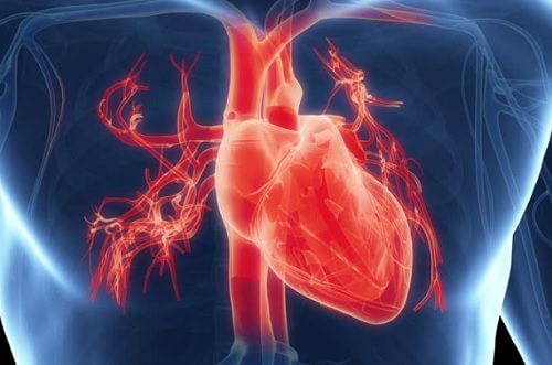 7 sintomi di malfunzionamento del cuore