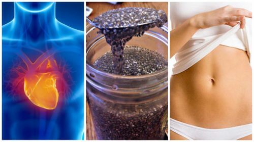 8 motivi per includere i semi di chia nella dieta 8 motivi per includere i semi di chia nella dieta