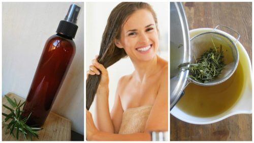 Come preparare un balsamo alle erbe e aceto per capelli più forti Come preparare un balsamo alle erbe e aceto per capelli più forti