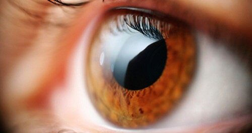 La vista: uno strumento per individuare 5 disturbi