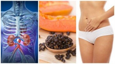 Le fantastiche proprietà dei semi di papaya