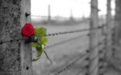 Amore e ossessione: che differenza c'è?