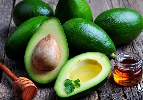 seme di avocado