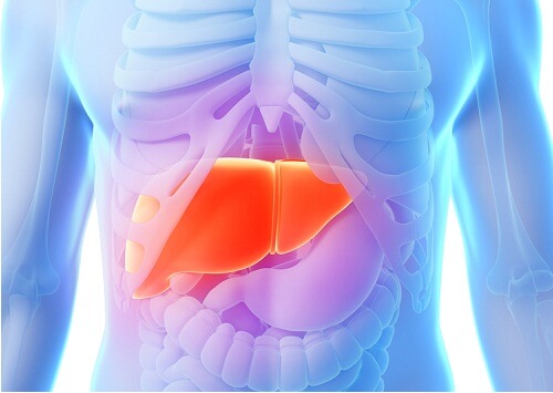 la dieta del carciofo contribuisce ad avere un fegato più sano