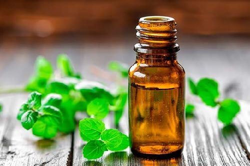 Rilassare i muscoli con l'olio di menta