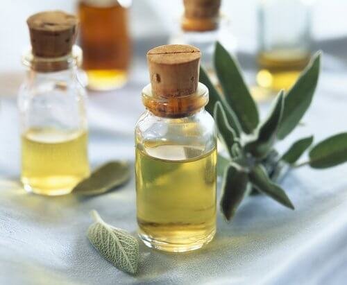 Olio essenziale di salvia