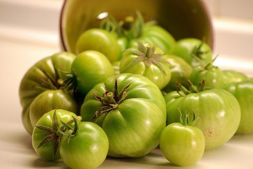 pomodori verdi