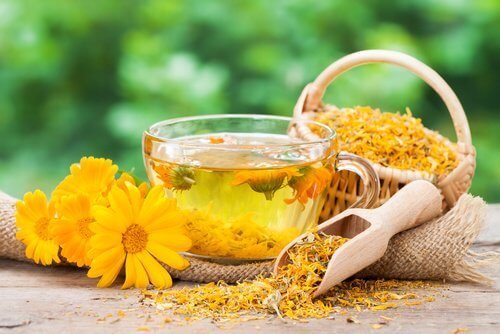 Fiori di calendula contro i sintomi della vaginosi batterica