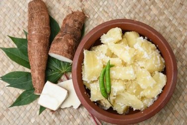 Manioca: una radice con 9 importanti proprietà medicinali