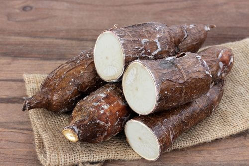 proprietà della radice di manioca