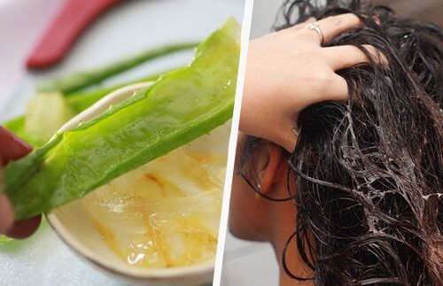 Aloe vera per la cura dei capelli