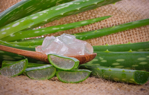 Il gel di aloe vera è un ottimo rimedio naturale per trattare la scabbia