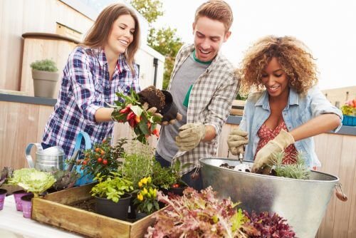Amici che si divertono a fare giardinaggio