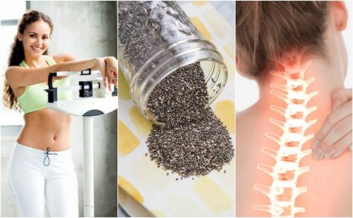 10 importanti benefici dei semi di chia 10 importanti benefici dei semi di chia