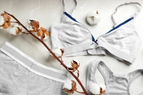 Biancheria intima di cotone