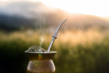Yerba mate: l'erba che aiuta a perdere peso