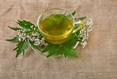 5 erbe medicinali per trattare la depressione