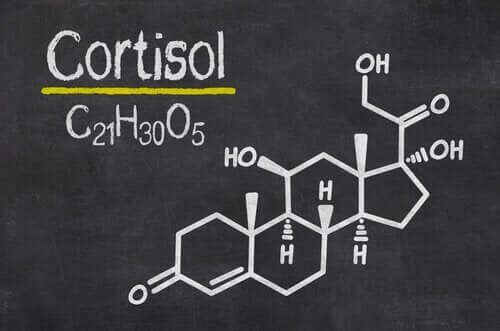 11 segnali di cortisolo alto nel nostro corpo