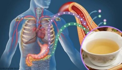 Ridurre gli zuccheri nel sangue con 4 infusi