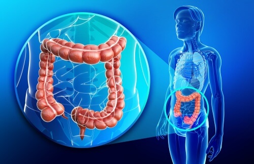 Intestino e problemi alla tiroide