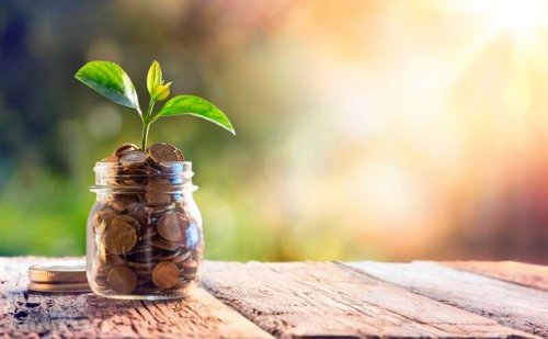 Vaso con soldi da cui nasce una pianta