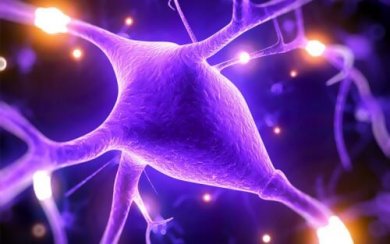 5 motivi per cui il magnesio migliora le abilità cognitive