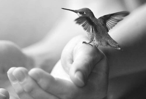5 abitudini per vivere più tranquilli 5 abitudini per vivere più tranquilli