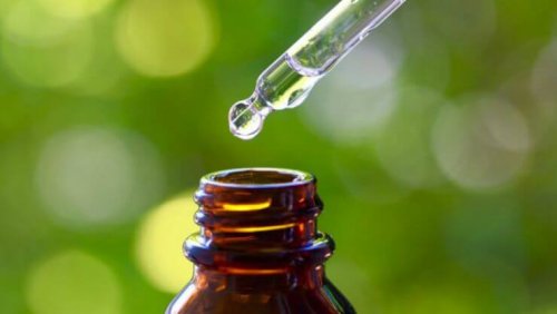 Olio di betulla