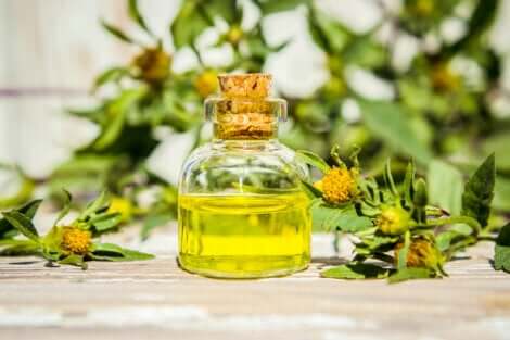 Olio di albero del tè.