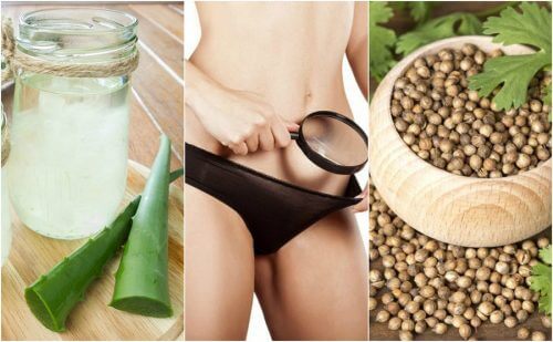 5 rimedi naturali per ridurre le perdite vaginali eccessive 5 rimedi naturali per ridurre le perdite vaginali eccessive
