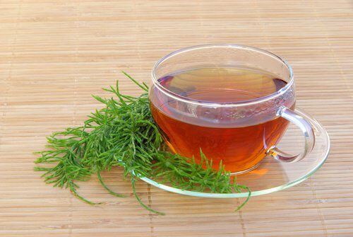 l'infuso di coda cavallina è ottimo per ridurre le vene varicose