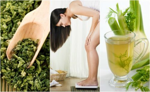5 piante medicinali con cui perdere peso facilmente 5 piante medicinali con cui perdere peso facilmente