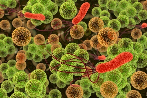 sintomi di infezione della pelle acinetobacter baumannii