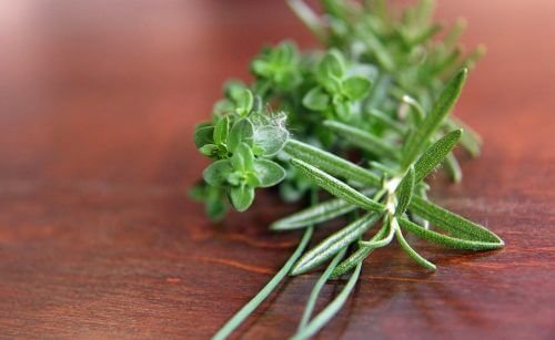 Erbe aromatiche
